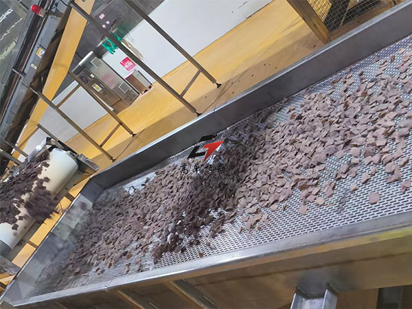 片状食品直线筛（卫龙）251124